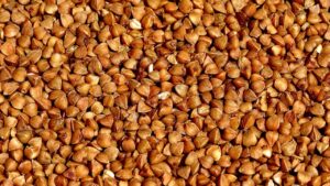 タロット教材を長く使える方法とは？