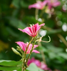 タロットカード初心者に最初におすすめのデッキは？